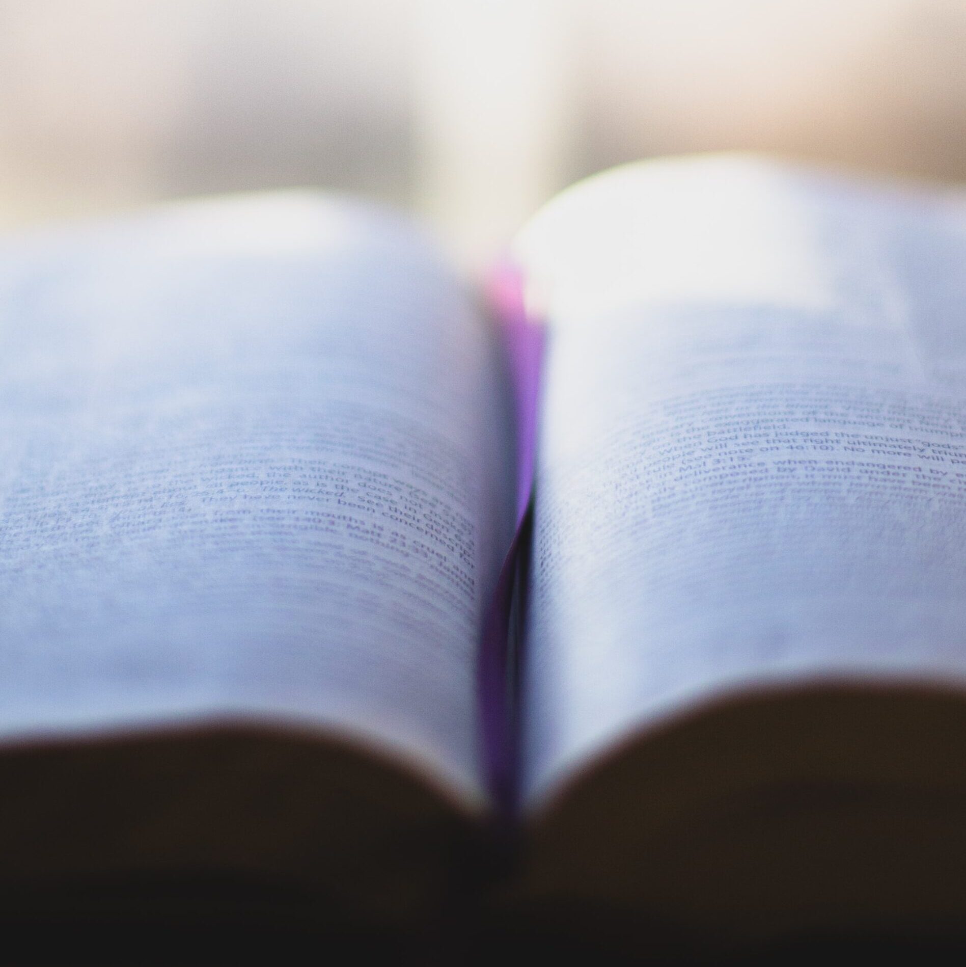 Textos Bíblicos